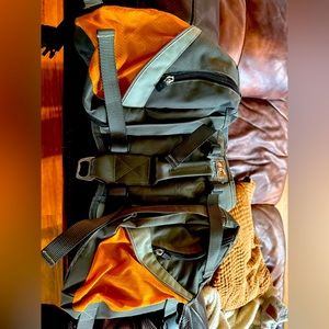 Kurgo Dog Backpack harness